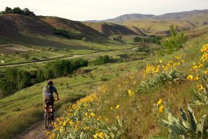 a bike rider, riding on a winding road in the mountains