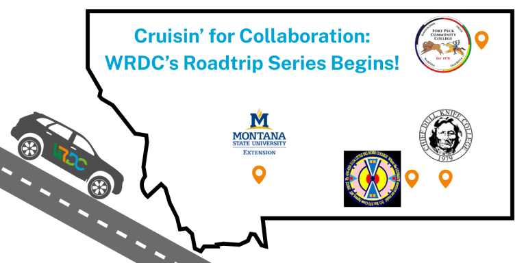 Bridging Distances, Building Relationships