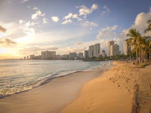 Experience the serene beauty of Honolulu's beach at sunset, featuring the city's stunning skyline.