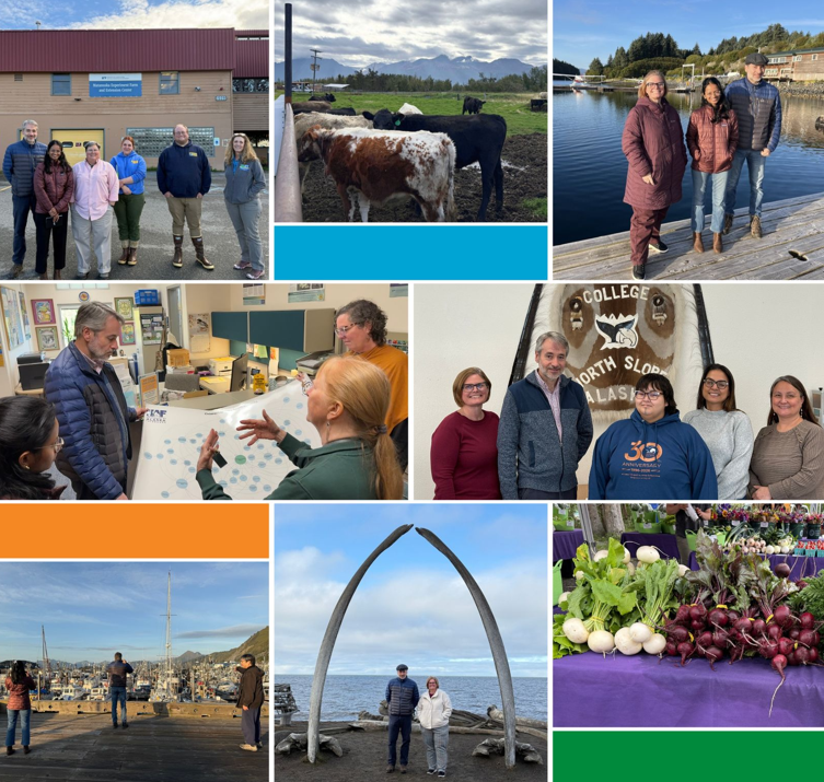 collage of alaska images